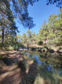 Vouvaris River Bridge